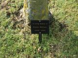 image number Welham Drucie 239
